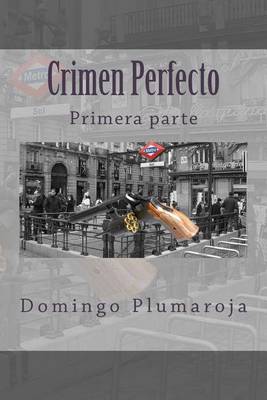 Book cover for Crimen Perfecto