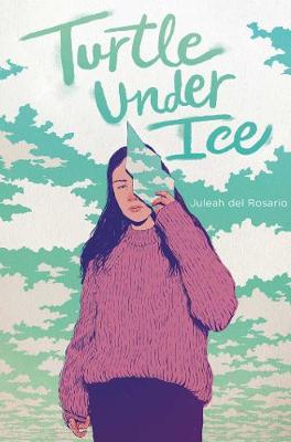 Book cover for Turtle under Ice