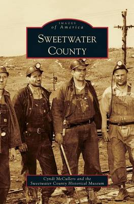 Book cover for Sweetwater County