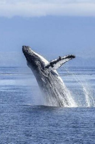 Cover of Jumbo Oversized Humpback Whale Leaping Out of the Water in Alaska