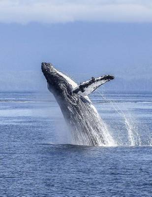 Book cover for Jumbo Oversized Humpback Whale Leaping Out of the Water in Alaska