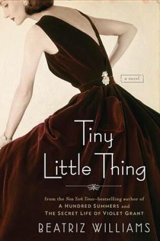 Cover of Tiny Little Thing