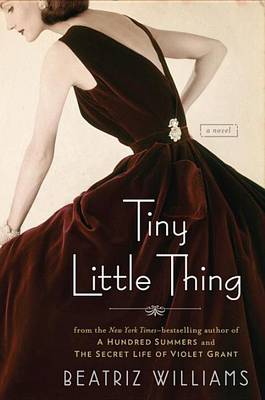 Book cover for Tiny Little Thing
