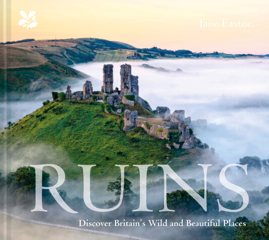 Book cover for Ruins