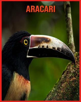 Book cover for Aracari