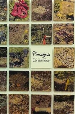 Cover of Catalysts