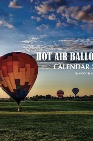 Cover of Hot Air Balloons Calendar 2020