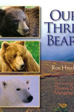 Cover of Our Three Bears