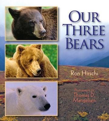 Book cover for Our Three Bears