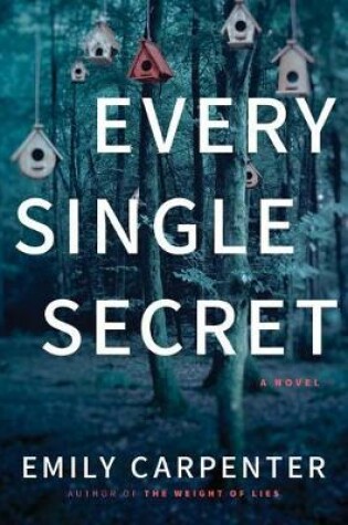 Cover of Every Single Secret