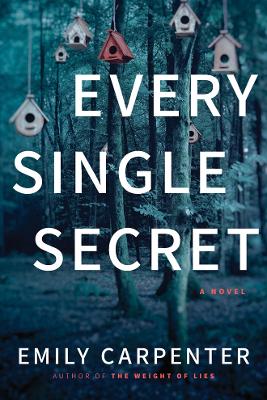 Book cover for Every Single Secret