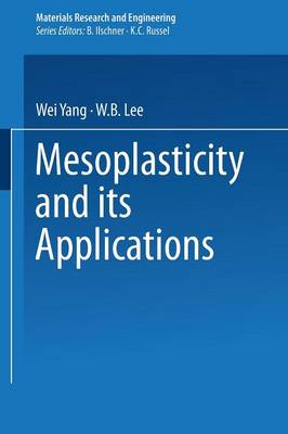 Cover of Mesoplasticity and its Applications