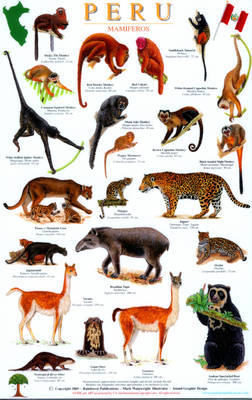 Book cover for Peru Mammals Guide