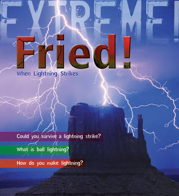 Book cover for Extreme Science: Fried!