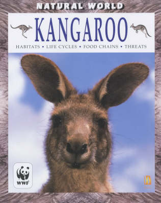 Book cover for Kangaroo