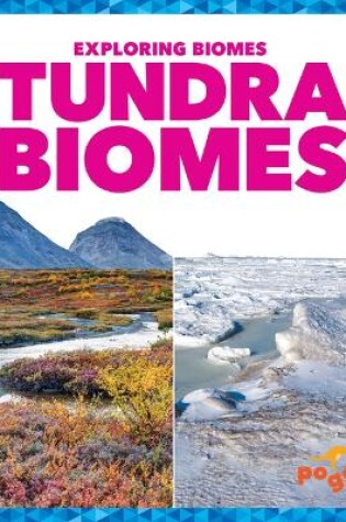 Cover of Tundra Biomes