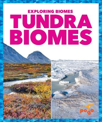 Book cover for Tundra Biomes