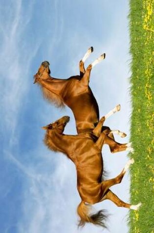 Cover of Two Beautiful Brown Horses Frollicking in a Meadow