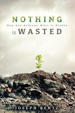 Cover of Nothing Is Wasted