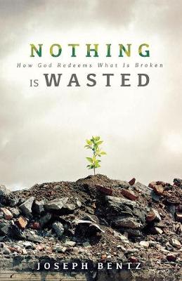 Book cover for Nothing Is Wasted