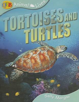 Cover of Turtles