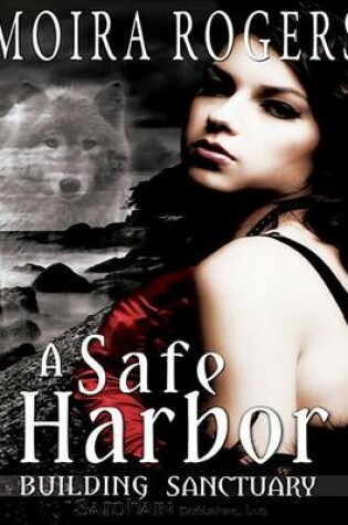 Cover of A Safe Harbor