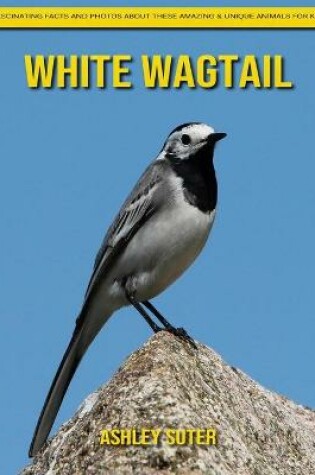 Cover of White Wagtail