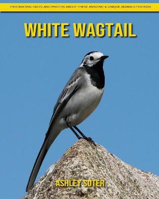Book cover for White Wagtail