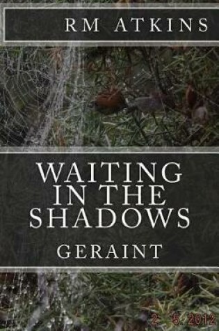 Cover of Waiting in the Shadows