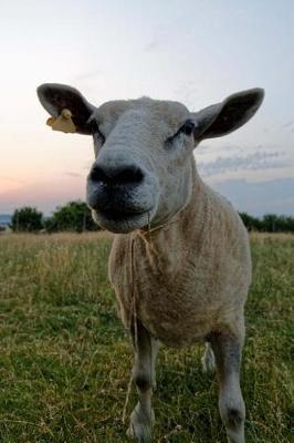 Book cover for Curious Shorn Sheep in a Meadow Journal