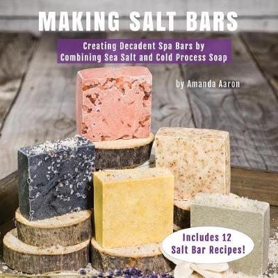 Book cover for Making Salt Bars