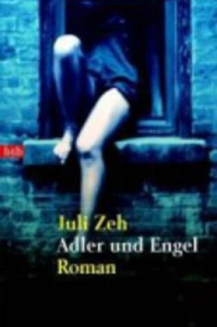 Cover of Adler und Engel