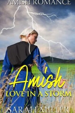 Cover of Amish Love in a Storm