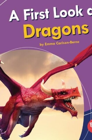 Cover of A First Look at Dragons