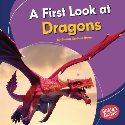 Book cover for A First Look at Dragons