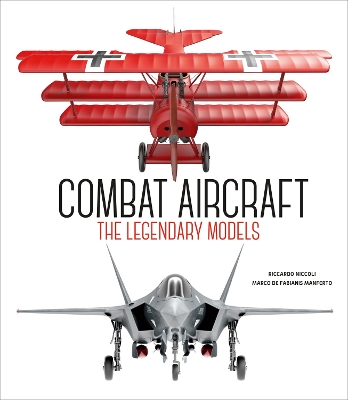 Book cover for Combat Aircraft