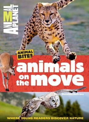 Book cover for Animal Bites: Animals On the Move Where Young Readers Discover Nature