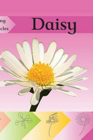 Cover of Daisy