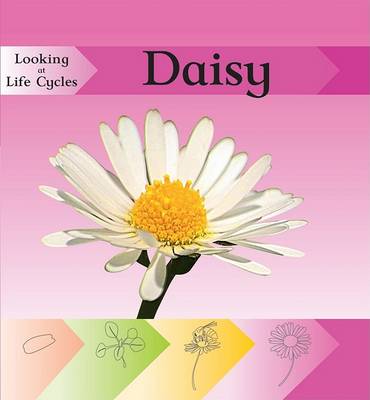 Book cover for Daisy