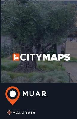 Book cover for City Maps Muar Malaysia