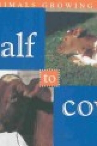Cover of Calf to Cow
