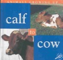 Book cover for Calf to Cow