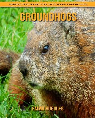 Book cover for Groundhogs