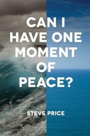 Cover of Can I Have One Moment of Peace?
