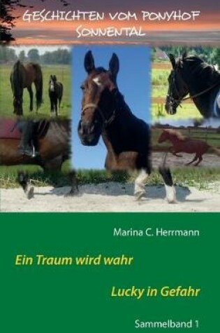Cover of Geschichten vom Ponyhof Sonnental