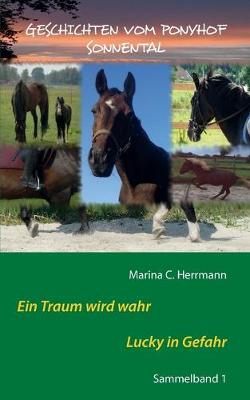 Book cover for Geschichten vom Ponyhof Sonnental