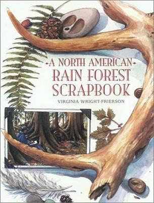 Book cover for A North American Rain Forest Scrapbook