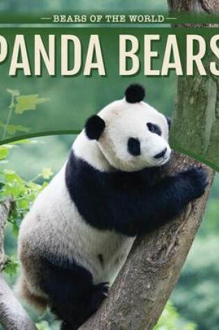 Cover of Panda Bears