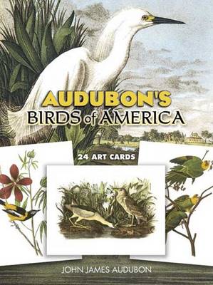 Book cover for Audubon's Birds of America Postcards