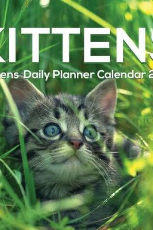 Cover of Kittens Daily Planner Calendar 2017